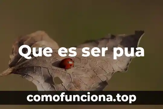 Qué es lo contrario a ser egoísta 8 Que es ser pua