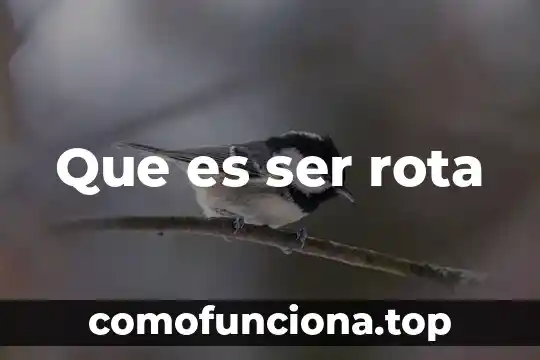 Como ser fuerte con la persona que es tu debilidad 7 Que es ser rota