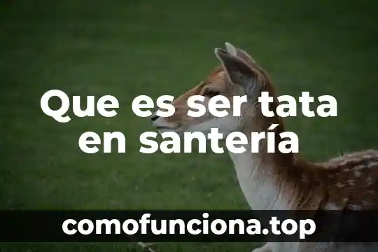 Que es una plaza en educacion 5 Que es ser tata en santería