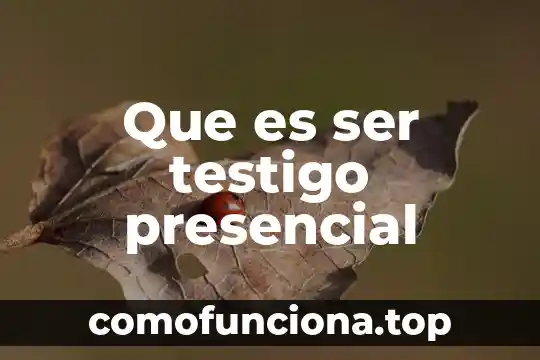Que es ser gameplay 5 Que es ser testigo presencial