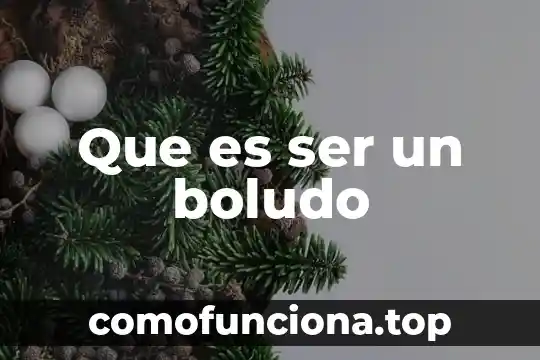 Que es ser fancy 3 Que es ser un boludo
