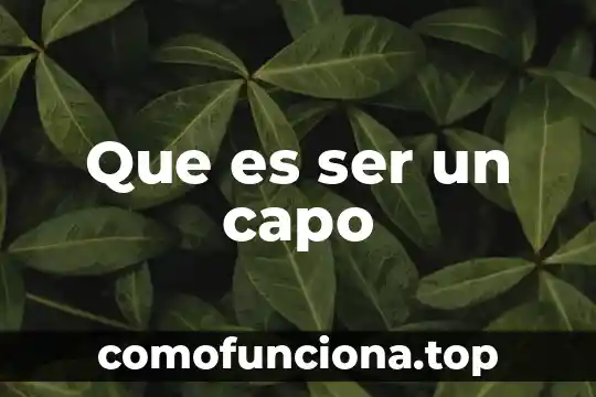 Que es ser una persona metodica 3 Que es ser un capo