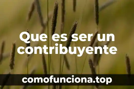 Que es ser salamera 6 Que es ser un contribuyente