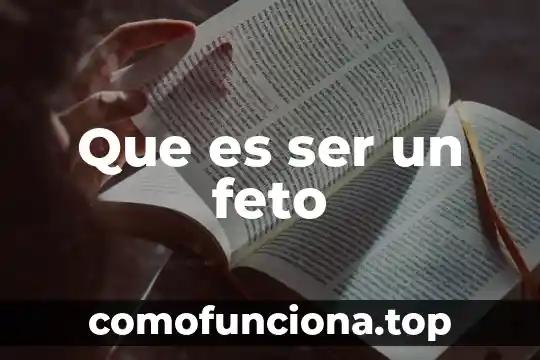 Que es ser una persona metodica 5 Que es ser un feto