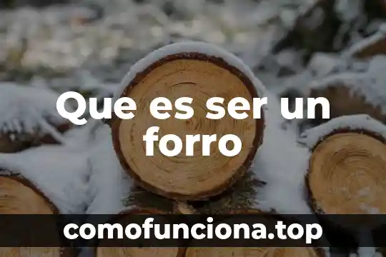 Que es ser lazy 4 Que es ser un forro