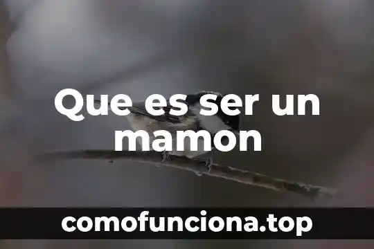 Que es ser una persona politicamente expuesta 5 Que es ser un mamon