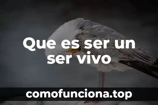 Efecto ex vivo nutrientes que es 4 Que es ser un ser vivo