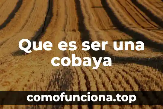 Qué es la etapa embrionaria del ser humano 5 Que es ser una cobaya