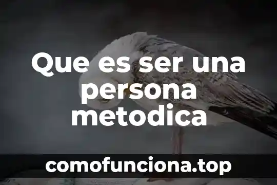 Que es ser un capo 8 Que es ser una persona metodica