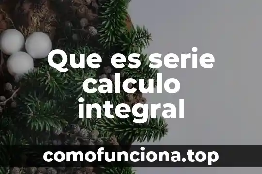 Que es la atencion integral del anciano 8 Que es serie calculo integral