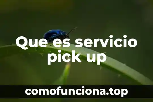 Qué es anatomía y cual es concepto 3 Que es servicio pick up