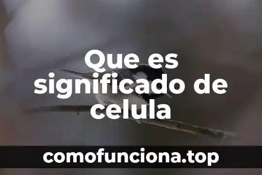 Que es una celula y como se clasifican consepto 5 Que es significado de celula