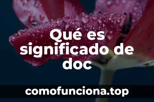 Chicle: Origen y Significado 5 Qué es significado de doc