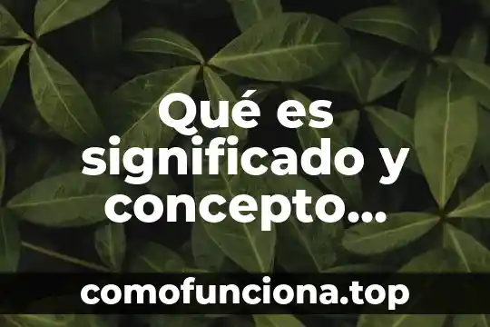 Qué es un significado artístico 8 Qué es significado y concepto definición de software