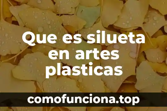 Que es artes plasticas arquitectura 4 Que es silueta en artes plasticas