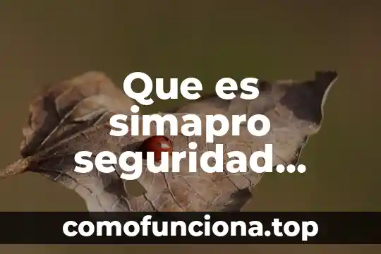 Qué es copia de seguridad completa 7 Que es simapro seguridad laboral