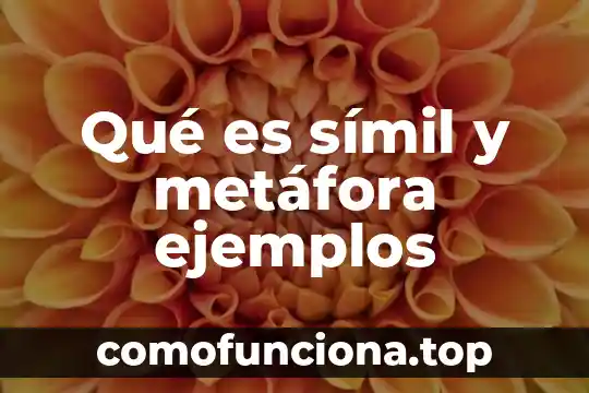 Que es simil o comparacion diccionario 4 Qué es símil y metáfora ejemplos