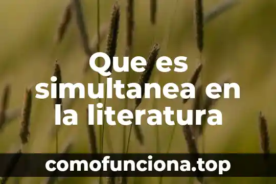 Que es un articulo en lengua y literatura 7 Que es simultanea en la literatura