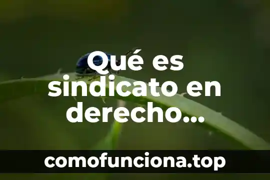 Que es figura juridica en derecho 3 Qué es sindicato en derecho laboral