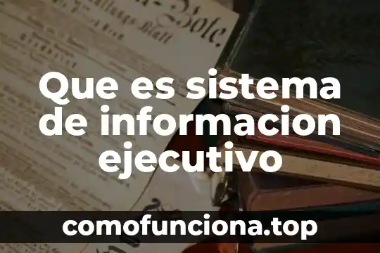 Que es ser productor ejecutivo 7 Que es sistema de informacion ejecutivo