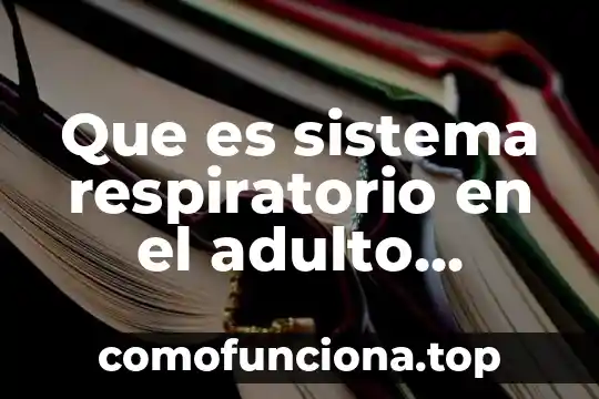 Que es el aparato respiratorio enfermedades animado 5 Que es sistema respiratorio en el adulto mayor