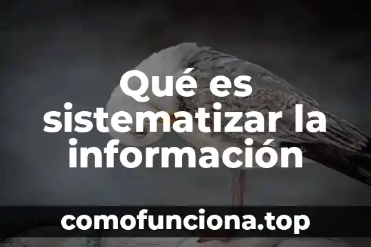 Que es idea original significado 5 Qué es sistematizar la información