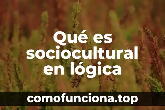 Que es lógica moderna 6 Qué es sociocultural en lógica