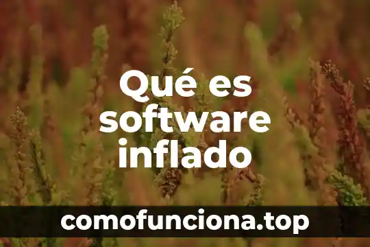 Que es software para terceros 7 Qué es software inflado