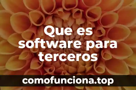 Qué es software inflado 4 Que es software para terceros