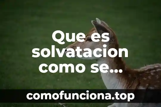 Que es un transmisor de señal de nivel 8 Que es solvatacion como se determina el nivel factores