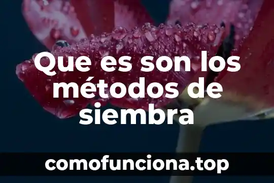 Qué es transmisión métodos anticonceptivos 3 Que es son los métodos de siembra