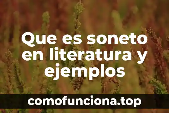 Que es revicion de la literatura o estados del arte 7 Que es soneto en literatura y ejemplos