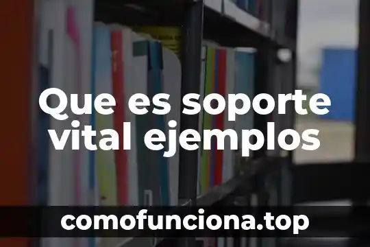 Que es el ciclo vital del ser humano 6 Que es soporte vital ejemplos