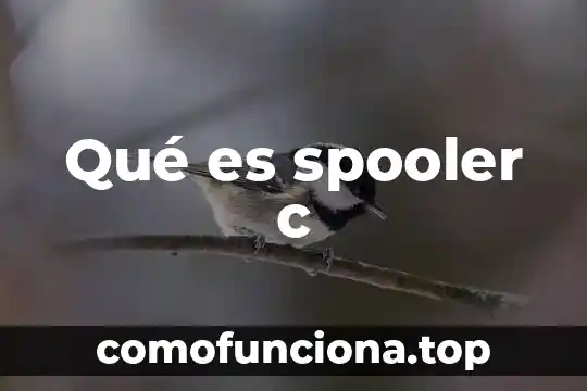 Que es leyes de herencia 6 Qué es spooler c