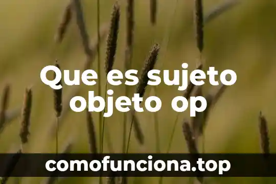 Que es un objeto color 3 Que es sujeto objeto op