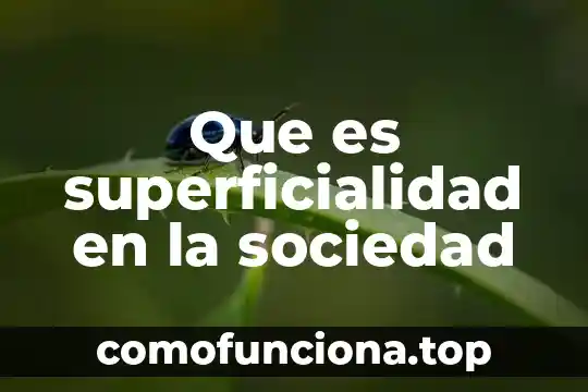 Desconocimiento de una sociedad que es 3 Que es superficialidad en la sociedad
