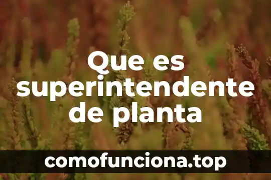 Qué es un tetraedro a partir de un triángulo equilátero 6 Que es superintendente de planta