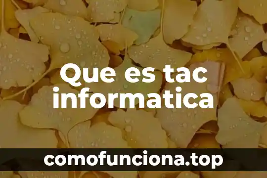 Que es informatica y la sociedad 8 Que es tac informatica