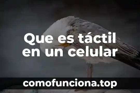 Que es linaje celular 3 Que es táctil en un celular