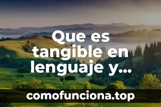 Que es un elemento tangible o intangible 4 Que es tangible en lenguaje y ejemplos