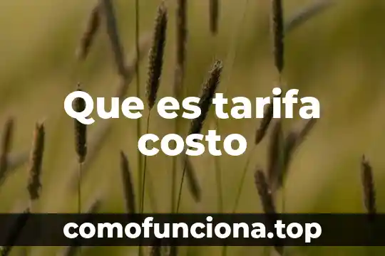Que es costo total fijo 3 Que es tarifa costo