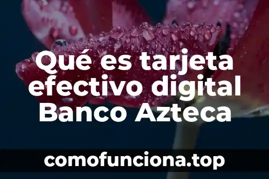 Qué es el número azteca en información 7 Qué es tarjeta efectivo digital Banco Azteca