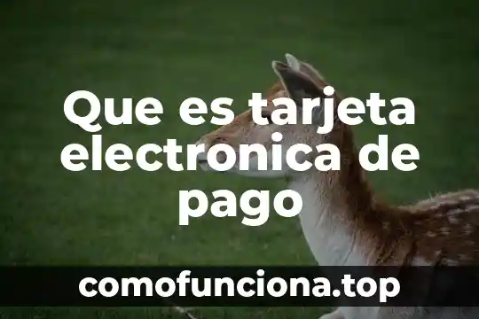 Qué es un número de tarjeta digital 3 Que es tarjeta electronica de pago