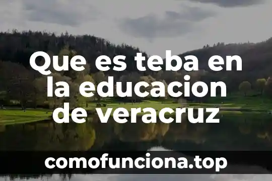 Que es un concepto operacional 6 Que es teba en la educacion de veracruz
