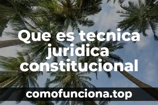 Qué es intersexual concepto 6 Que es tecnica juridica constitucional