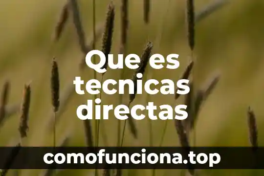 Qué es la rama de la filosofía idealista 8 Que es tecnicas directas