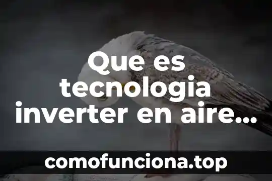 Que es una manzana en tecnologia 3 Que es tecnologia inverter en aire acondicionado