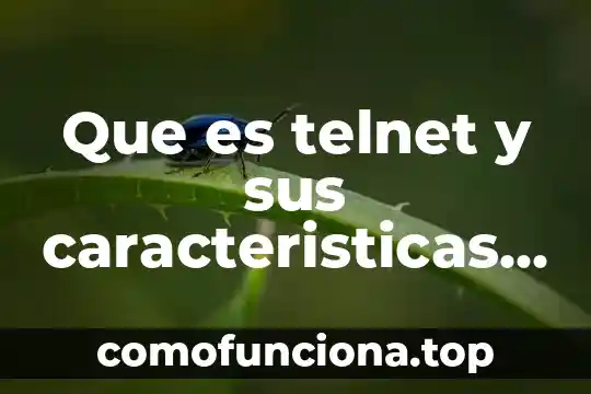 Qué es la piedra del sol y sus características principales 4 Que es telnet y sus caracteristicas principales