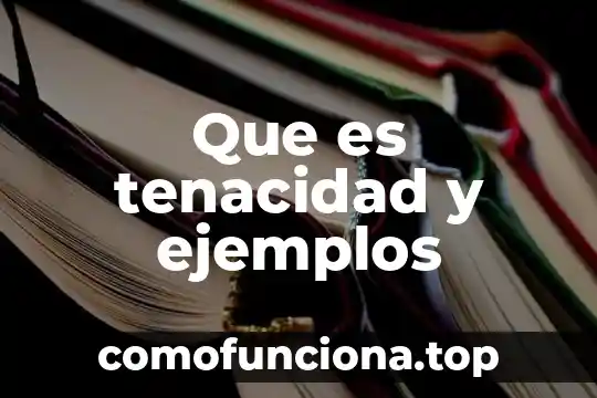 Significa que es tecnología 3 Que es tenacidad y ejemplos