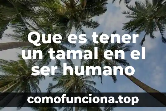 Que es lo que hizo benito juarez para ser importante 3 Que es tener un tamal en el ser humano